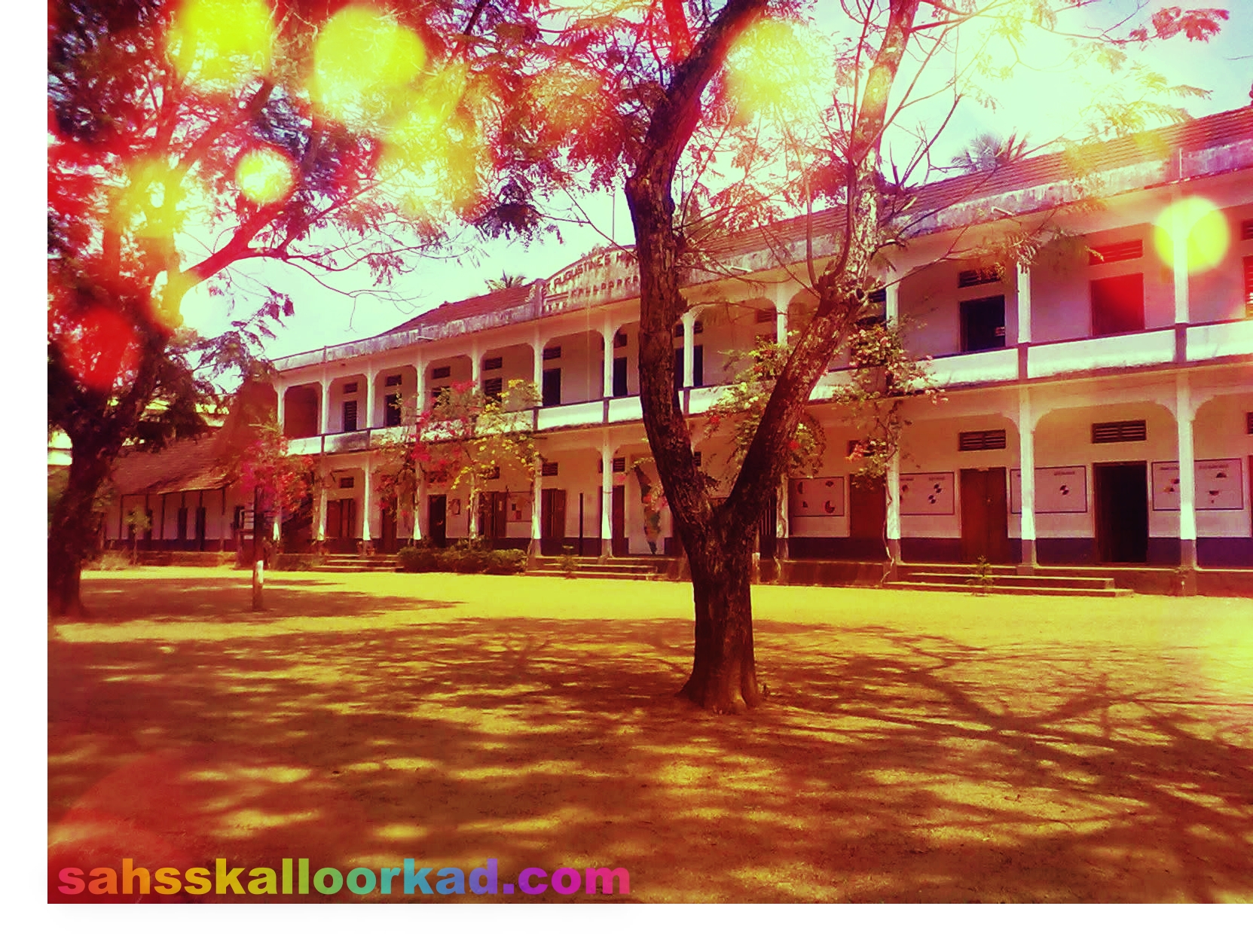 School Image 7